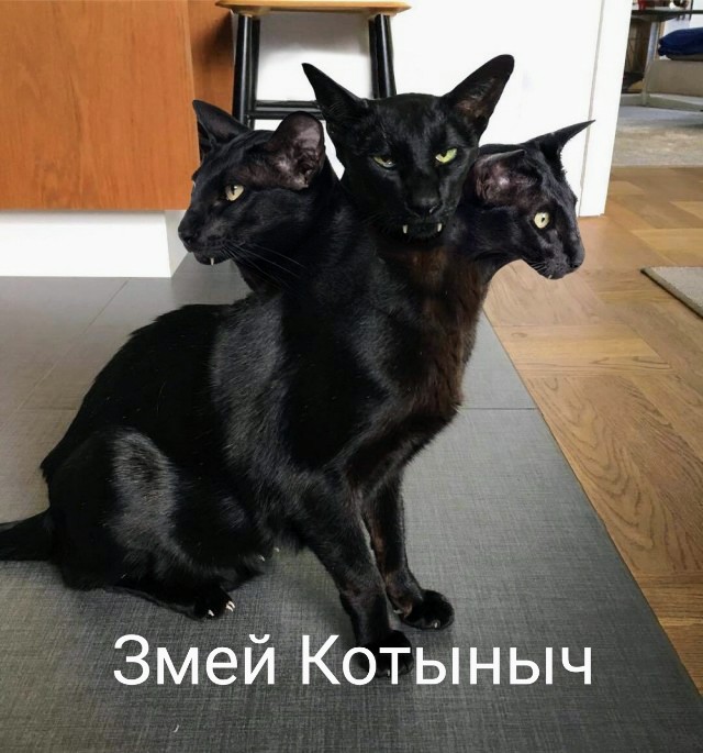 Картинки и мемы, всяко разно - 175