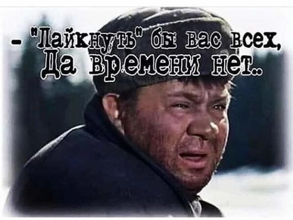 Инсульт у кошки-2