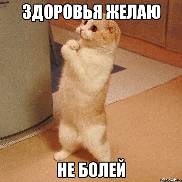 Сломал в 2021, сломал в этом году....