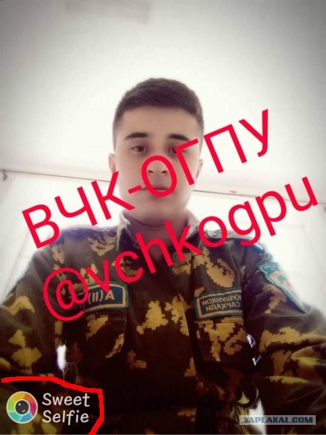 Что же произошло на Садоводе