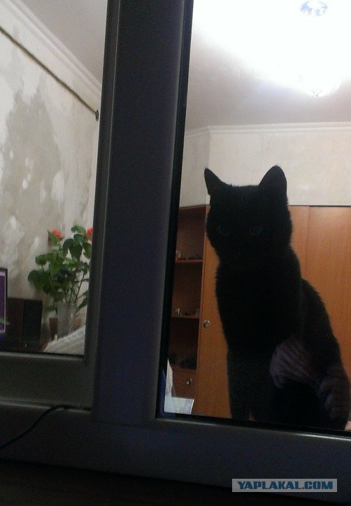 ТриКОТАж
