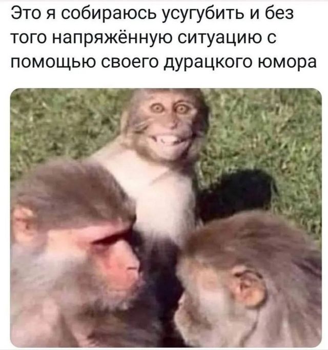 Завалялось тут случайно немного забавных картинок