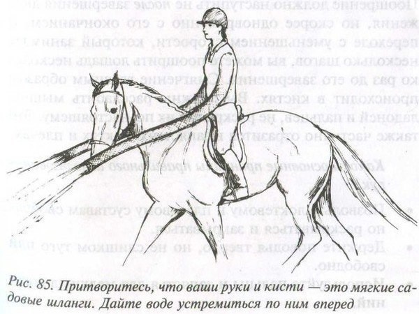 Веселые картинки к понедельнику (21.10)