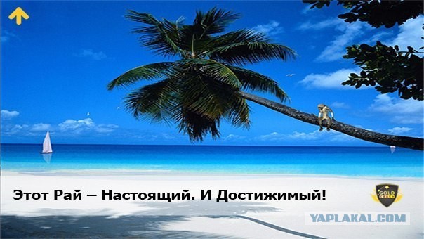 Скатертью скатертью тленный путь стелется...
