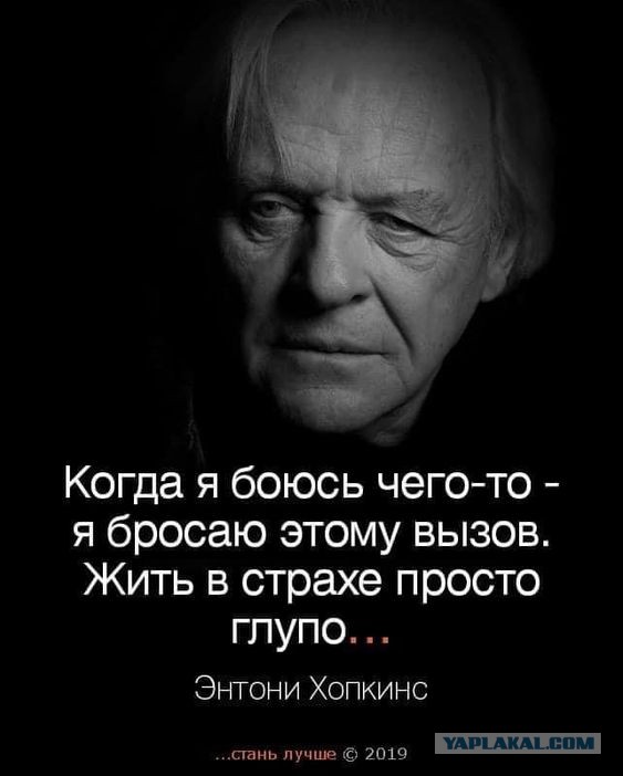 Прикольные и просто красивые картинки 22.10.2024