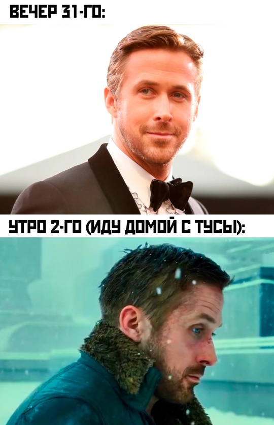 Весёлый полтишок 03.01.25