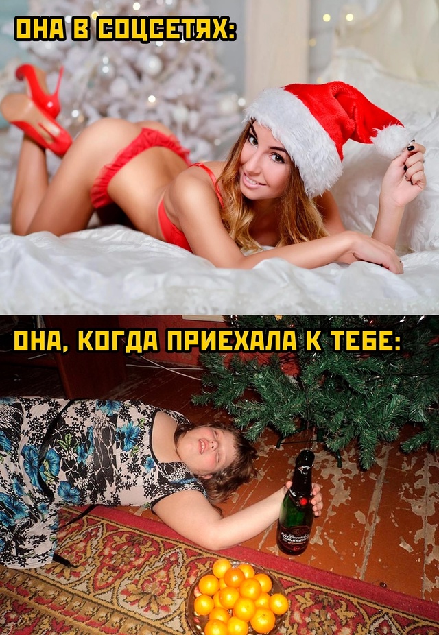 Весёлый полтишок 23.01.25