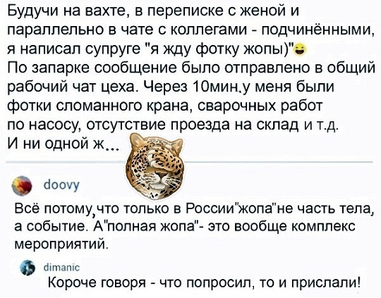 Молодцы детки!