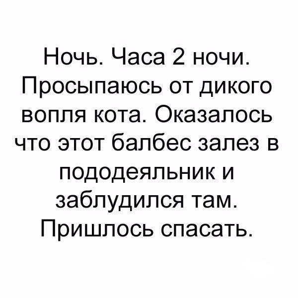 Так себе картинки 23.03.25
