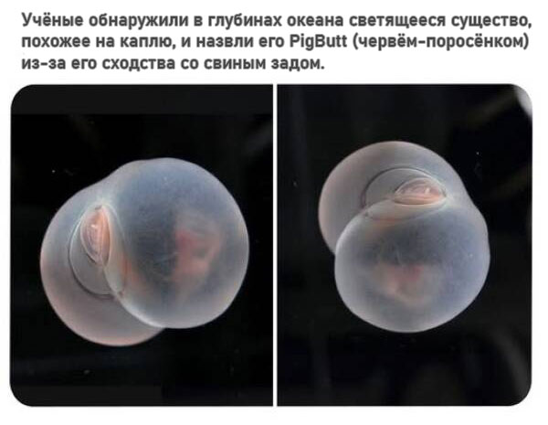 Веселые картинки в понедельник (24.03)