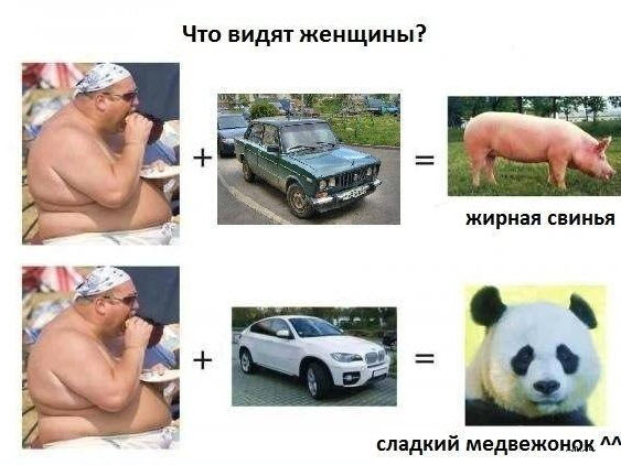 Отборные баяны 10-летней выдержки - MASCULINE - Edition