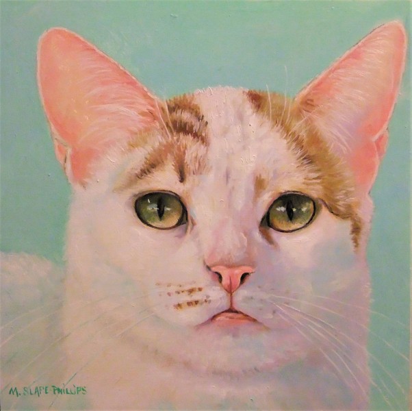 Картины к котовторнику