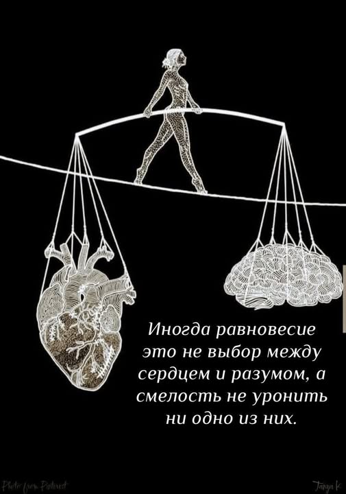 Заключительные баяны 2025