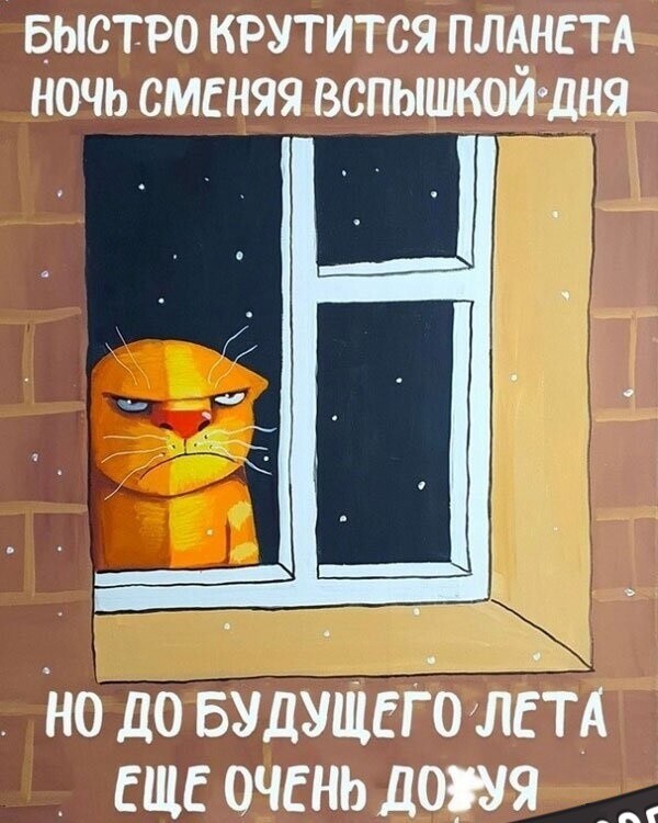 Подборка картинок-баянов с котиками и про котиков. Выпуск 30.