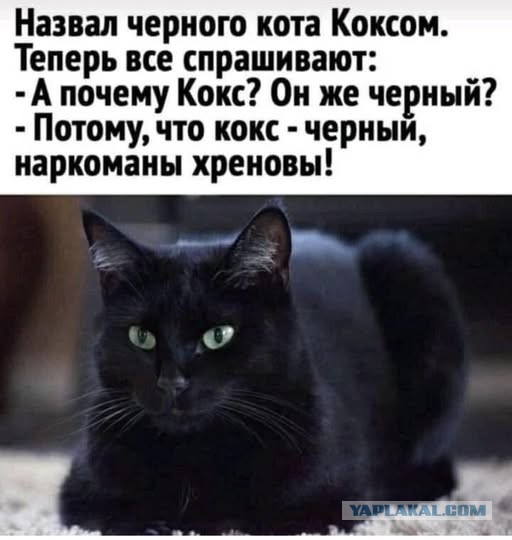 Картинки для деградации 139 (разной степени свежести)