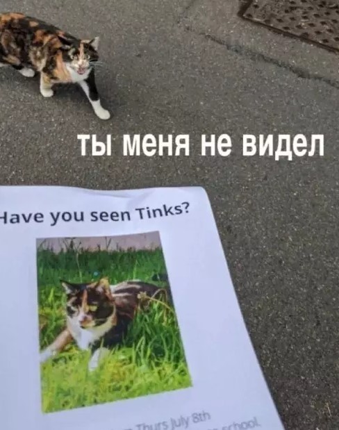 Картиночки, баянчики 02 апреля