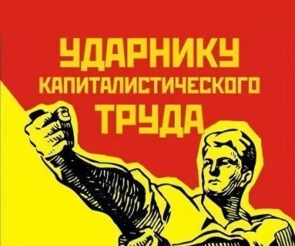 Кадр дня