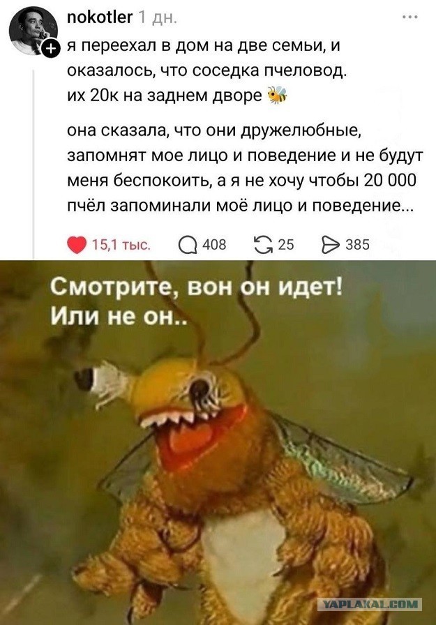 Картиночки, баянчики 15 июня