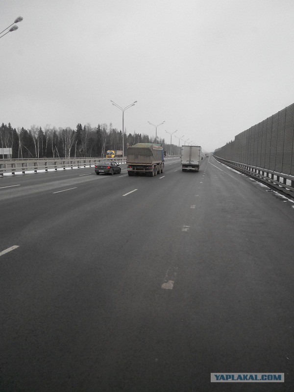 Озеленение Владивостока.