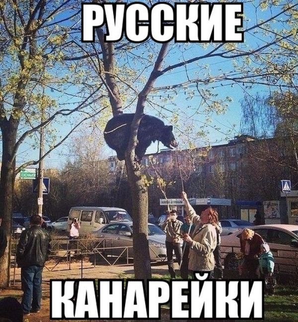 Веселые картинки № х/з