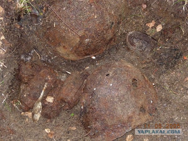 Поисковики