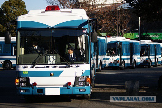 Игра на ЯПе: Угадай АВТО-8