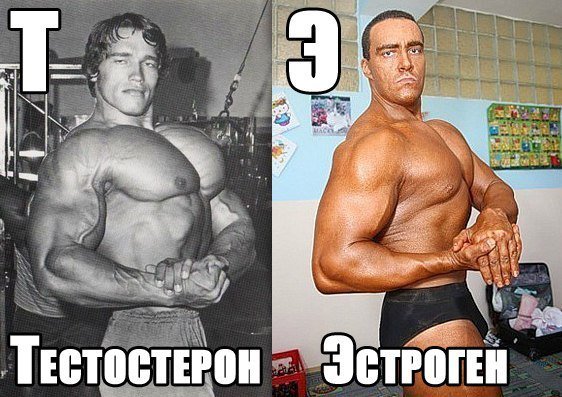 От жирдяя до пляжника за 10 недель