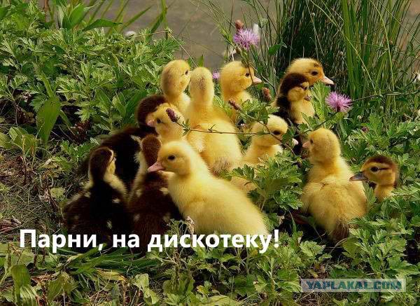 Чёрт, чёрт, чёрт!