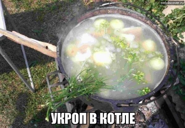 Порошенко признал себя укропом