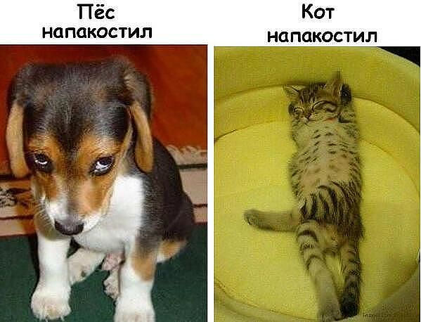 Веселые картинки.