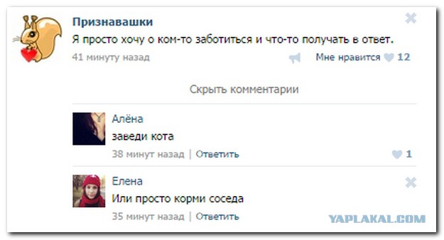 Смешные комментарии из социальных сетей