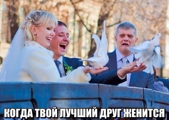 Немного картинок и юмора
