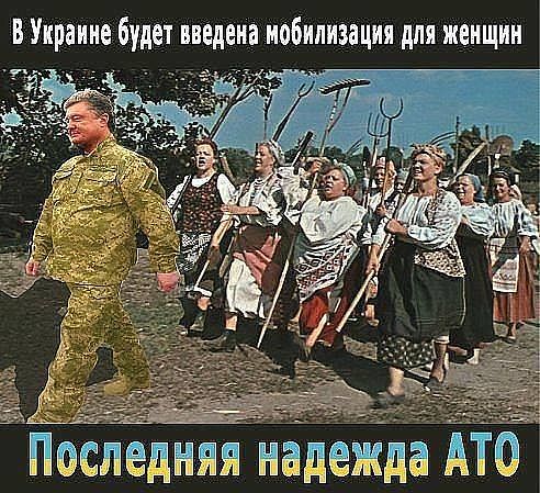 Украинская армия начала контрнаступление