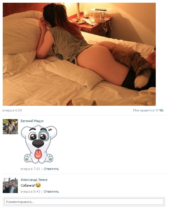 Ужасы и приколы из соцсетей 18+