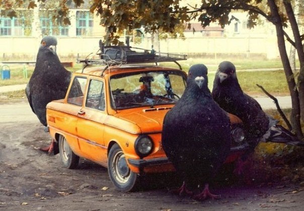 Мракобесие в скринах 3.