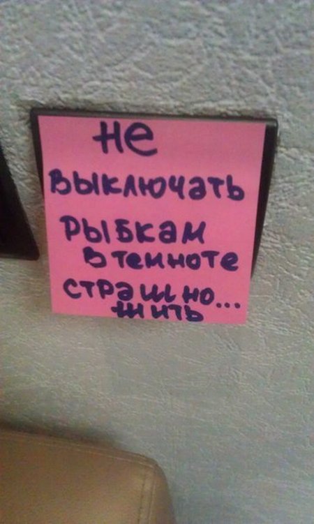 Прикольные объявления и надписи