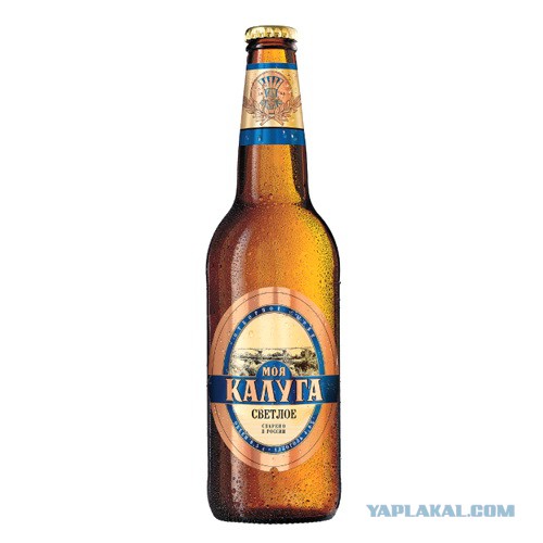 Пиво Калуга Где Купить
