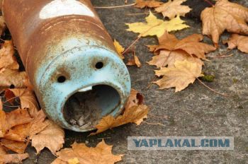 Они повсюду: забавная парейдолия