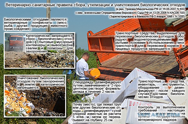 Публичная расправа над продуктами