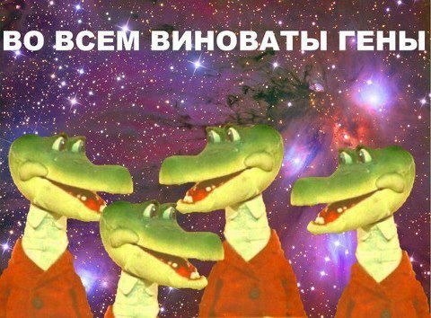 Наркоманский юмор