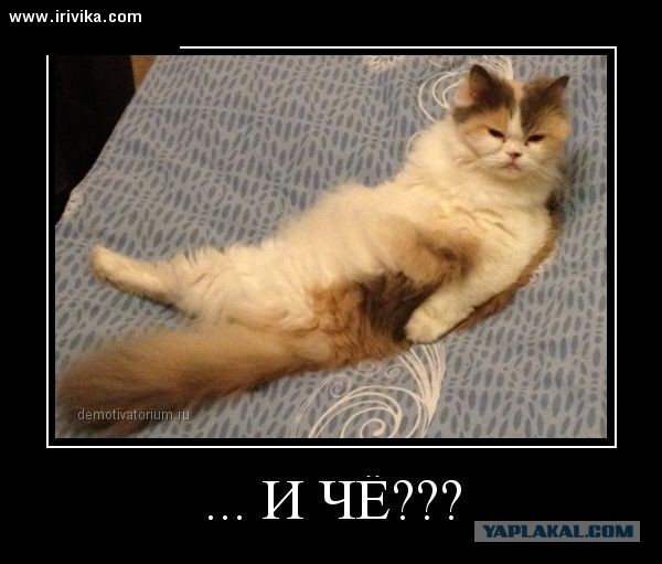 Опасность обгона на заднем приводе зимой.