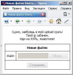 Приколы на МОНИТОРЕ