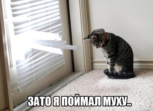 Подборка прикольных фото на пятницу