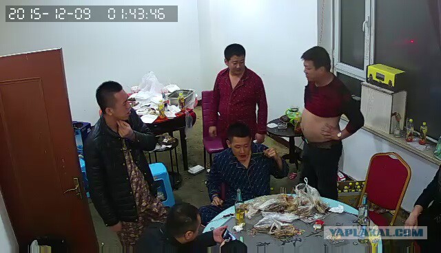 За что я люблю китайцев