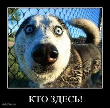 Эро-снегурочка и снегурочка ЯПа. Обсуждение