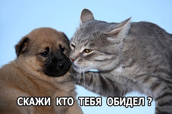 Картинки разные 2