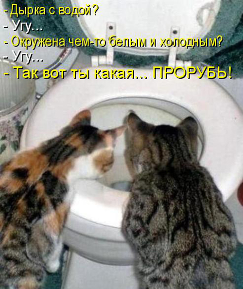 Веселые картинки