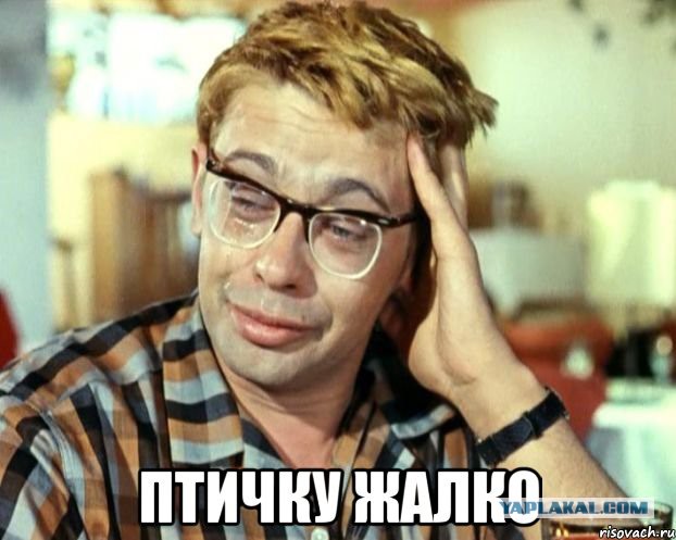 Вестник социальных сетей