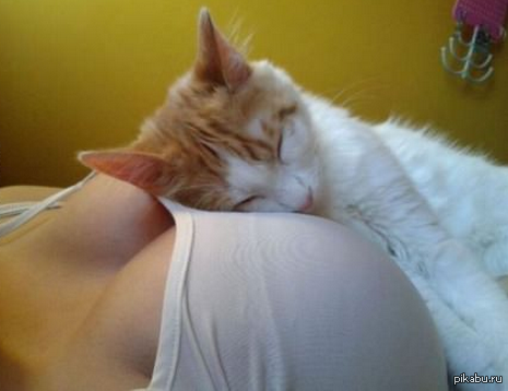 Подборка интересных и веселых фото