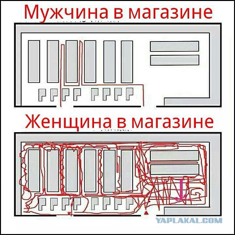 Отличие женского шопинга от мужского